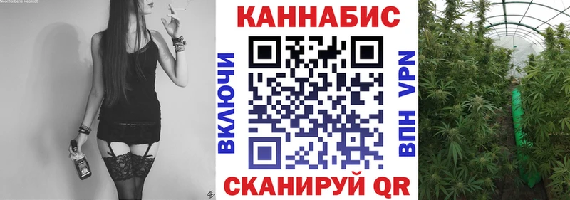 Купить закладки  Гвардейск  Шишки марихуана Amnesia 